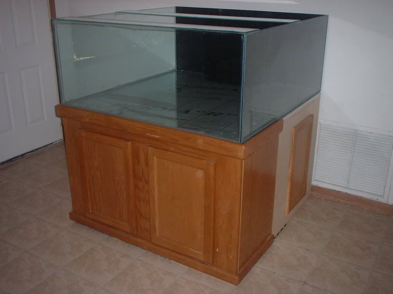 DSCF0005-3.jpg