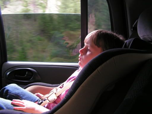 PICT0005.jpg