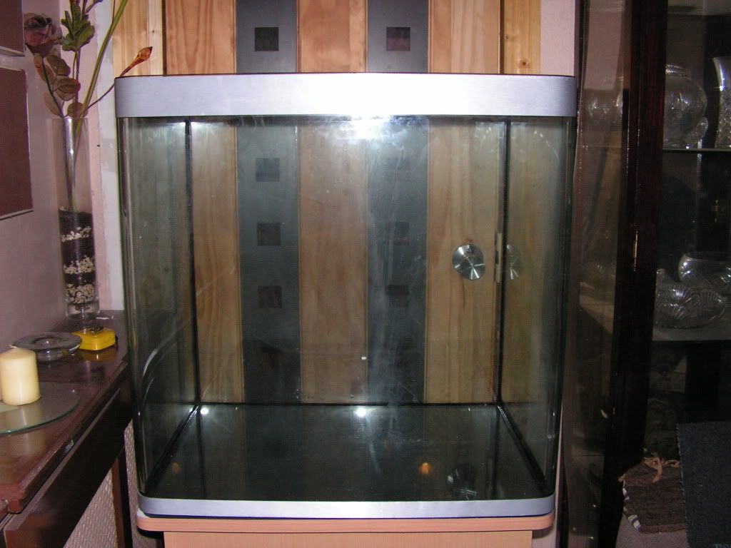 PICT1017.jpg