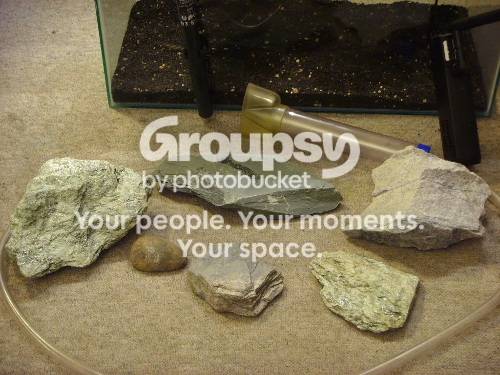 newfishtank005.jpg