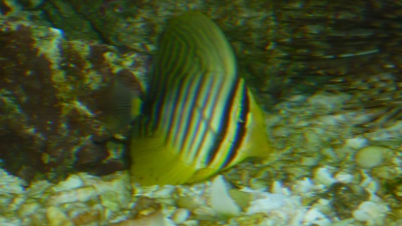 P1000720.jpg
