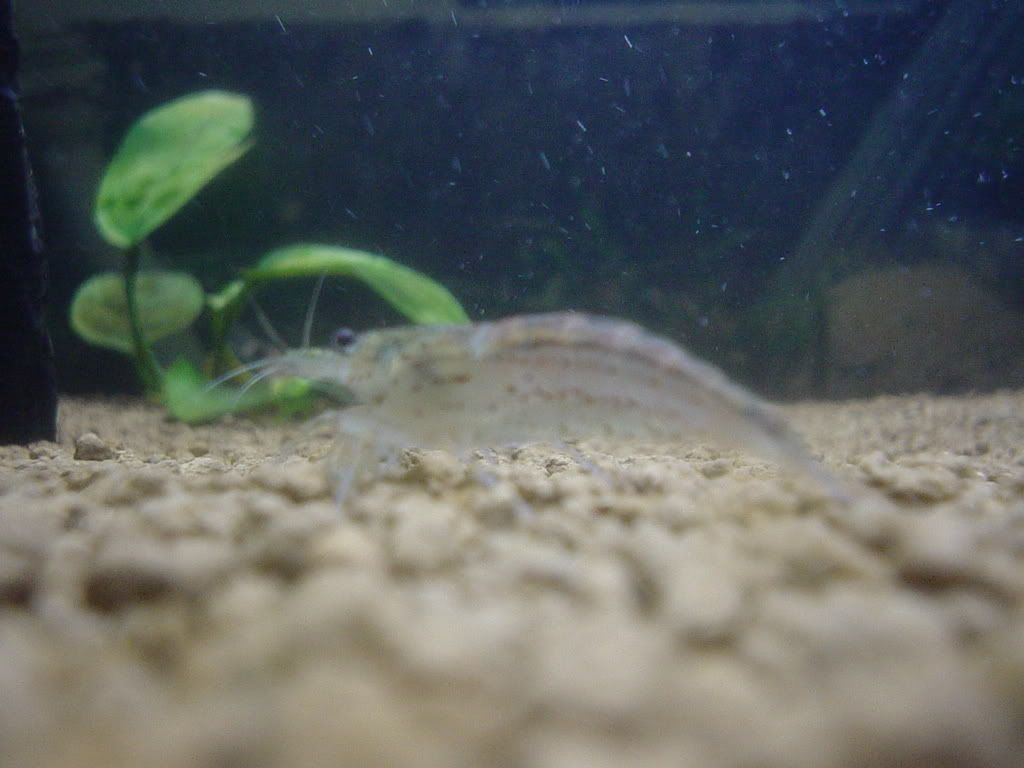 DSC03166.jpg