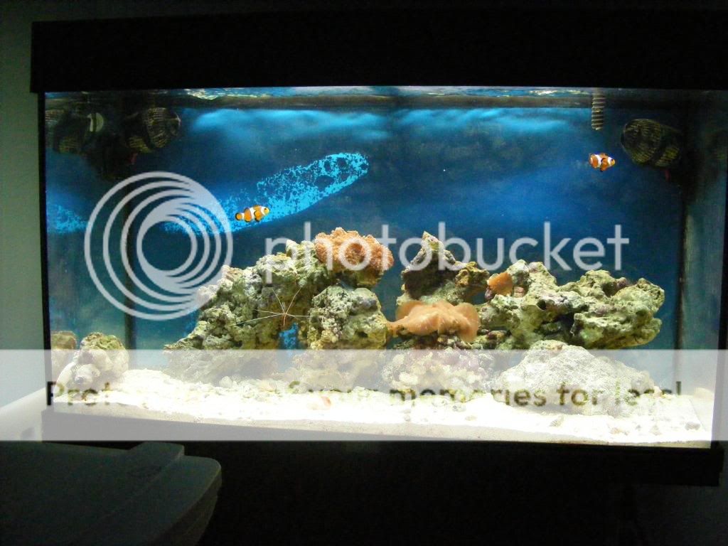 2010_0311t66666660001.jpg