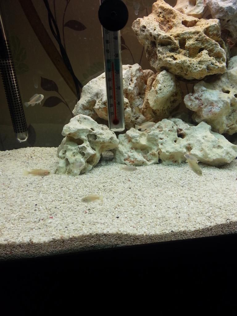 20130304_205439.jpg