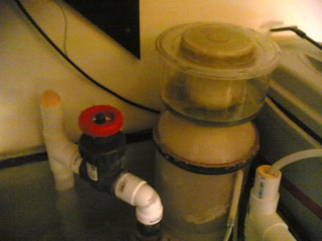 03082006003.jpg