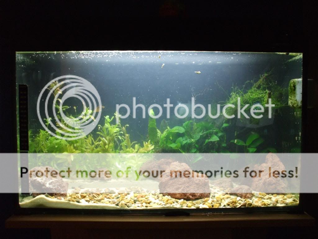 DSCF9581.jpg