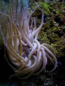 DSCN1708.jpg