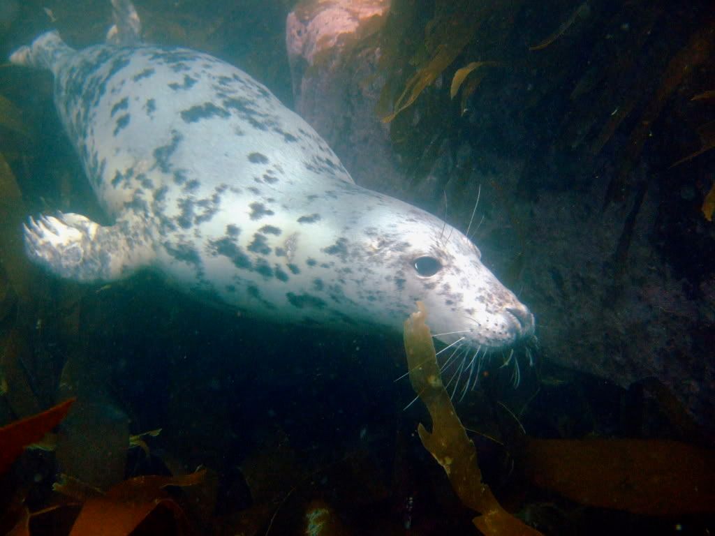 DSCF6091.jpg