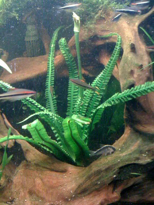 photo-2-1.jpg