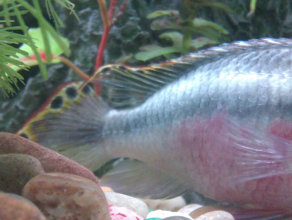 IMAG0206.jpg