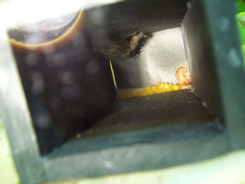 100_0382.jpg
