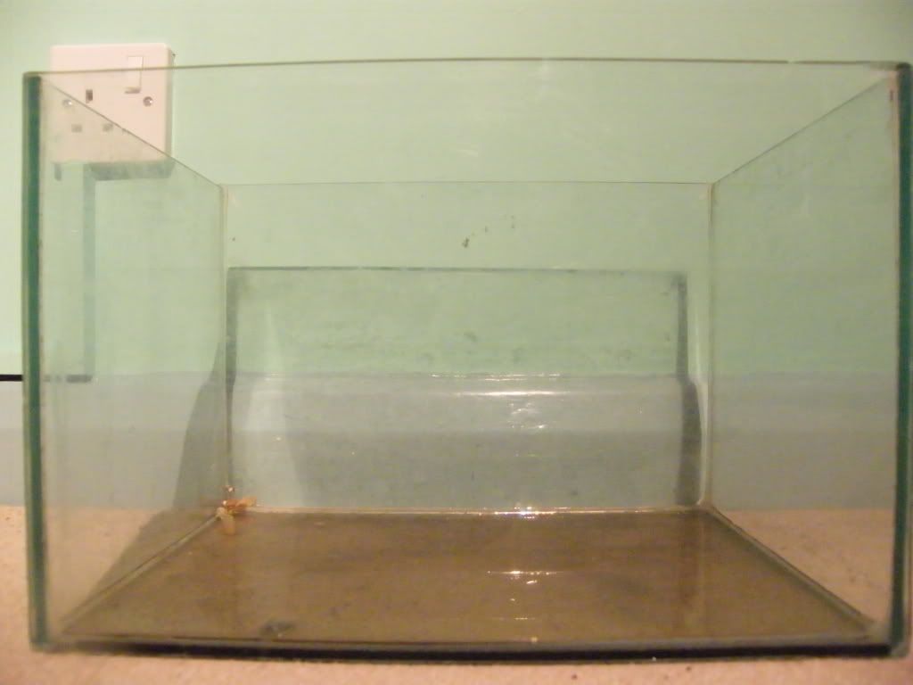 DSCF4531.jpg