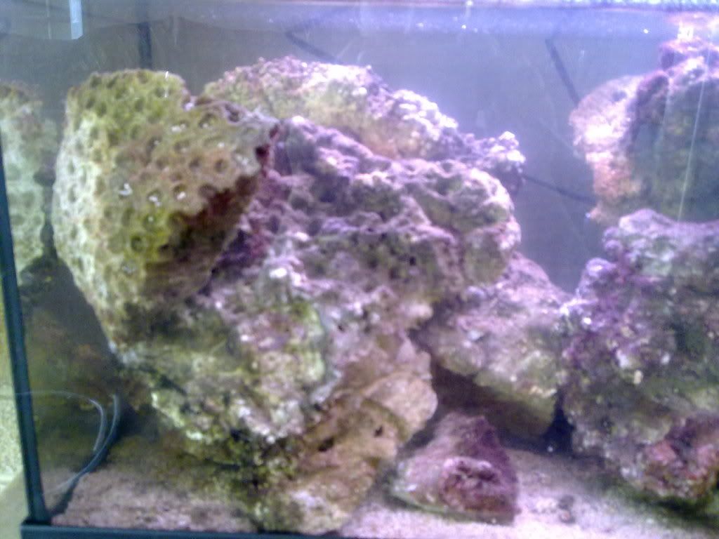 13082009100.jpg
