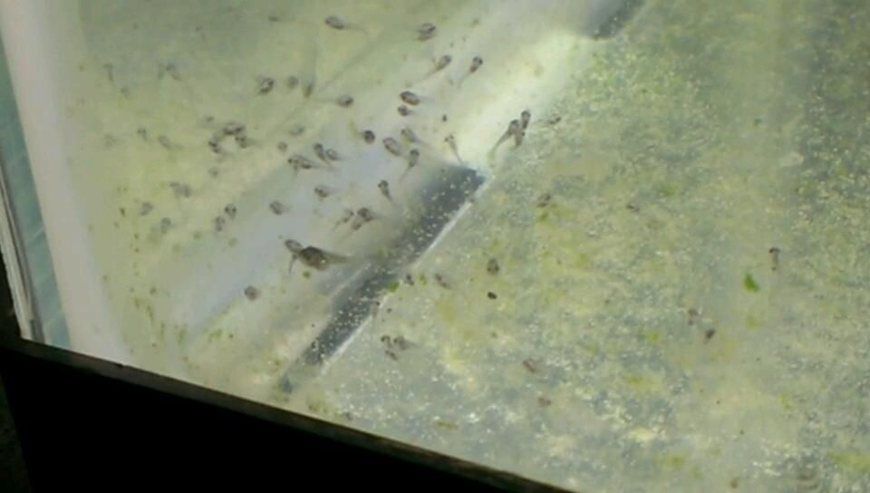 VIDEO0202_0000037880.jpg