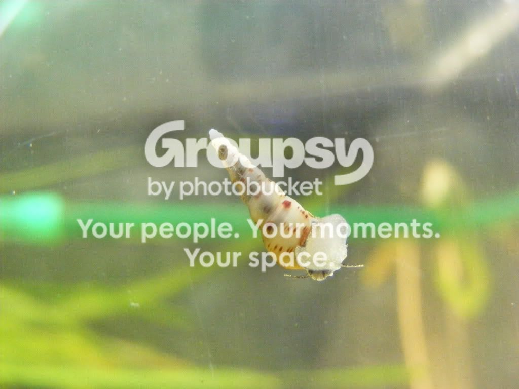 DSCF5935.jpg
