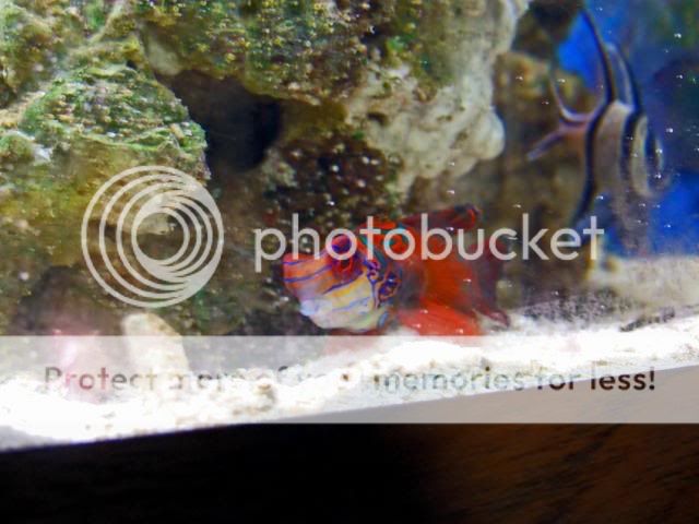 2009_0727Reef0189a.jpg