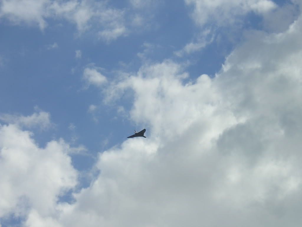 waddington026.jpg