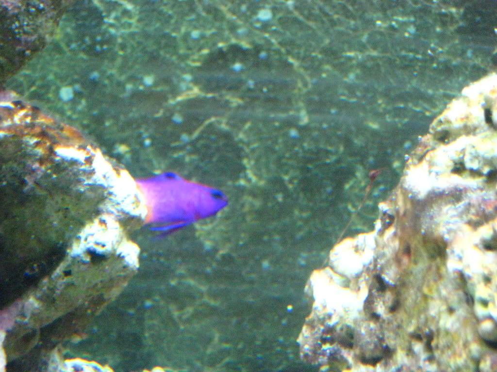IMG_2860.jpg