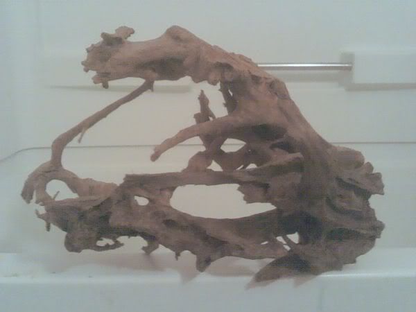 driftwood-1.jpg