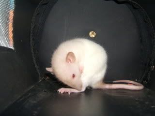 DSCF2444.jpg