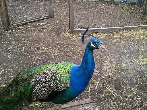 Photo0139.jpg