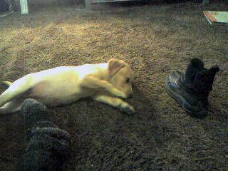 Photo-0122.jpg