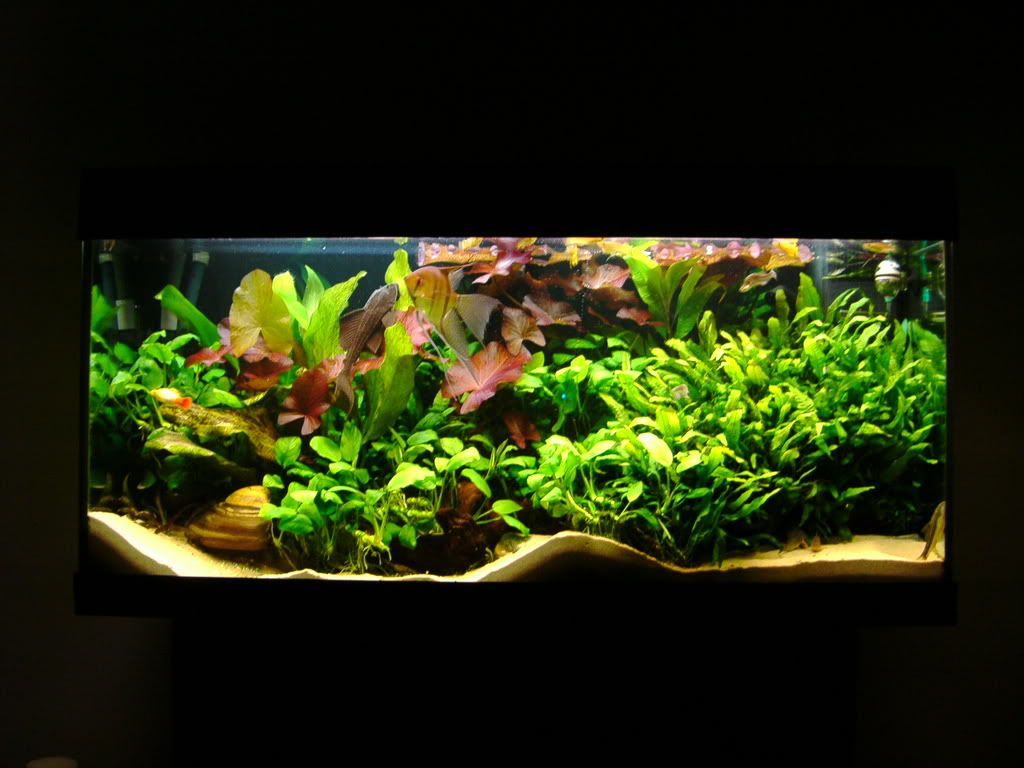 IMAG0067.jpg