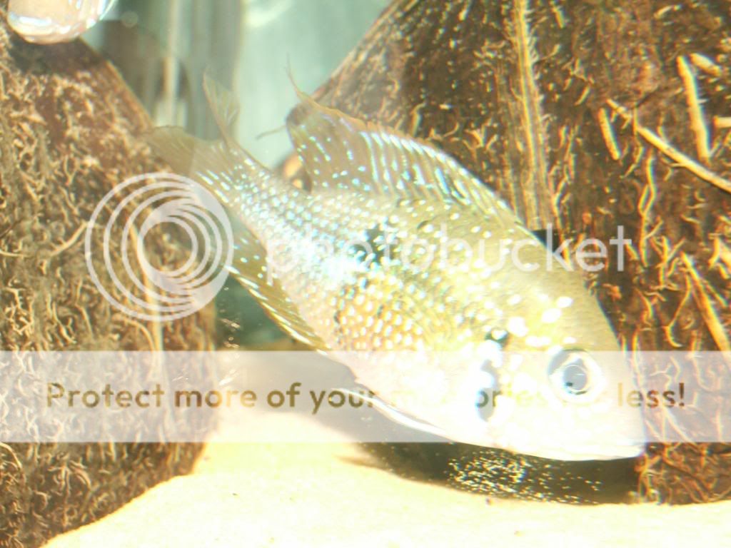 DSCF7224.jpg