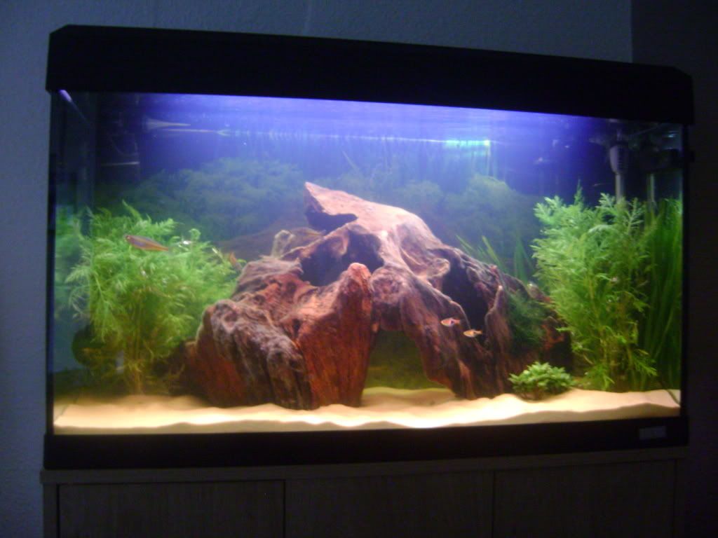DSC022722.jpg