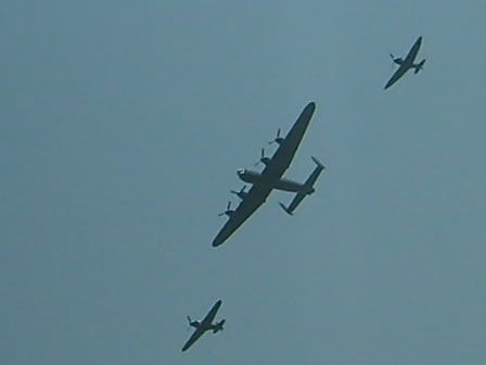 S5006202.jpg