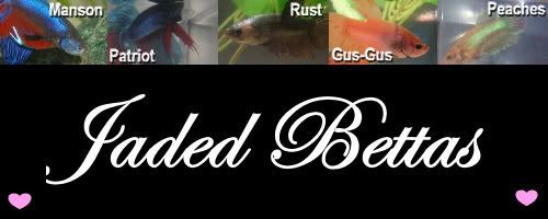 jadedbanner.jpg