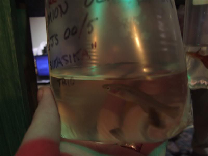 DSCF2513Medium.jpg