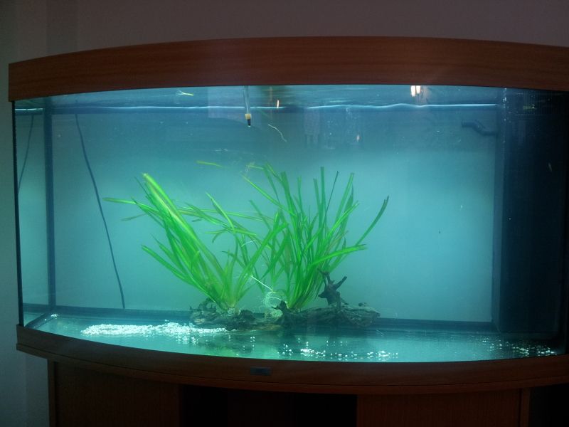 20120710_195222.jpg
