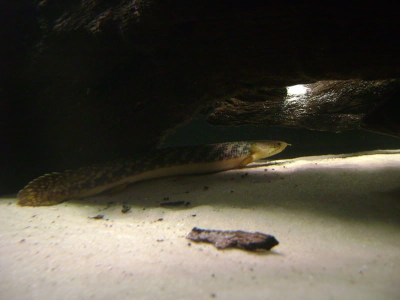DSC01765.jpg