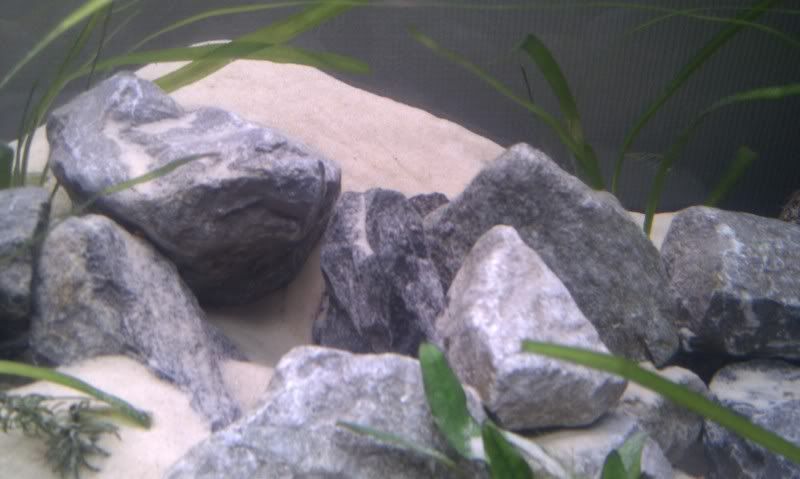IMAG0833.jpg