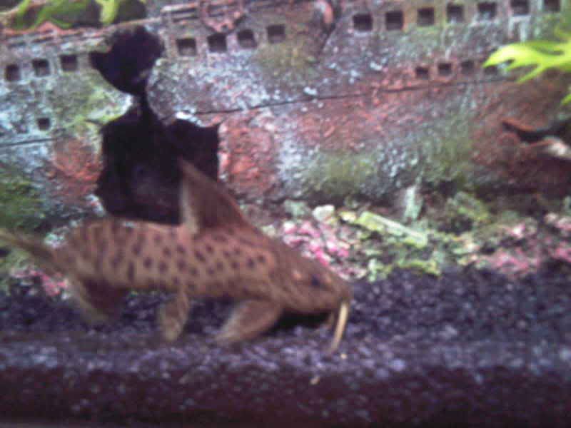 Photo-001J.jpg