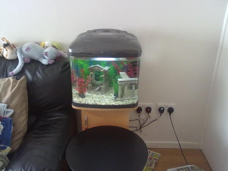 19102010034.jpg