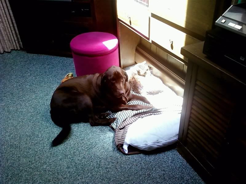 20100609145148.jpg