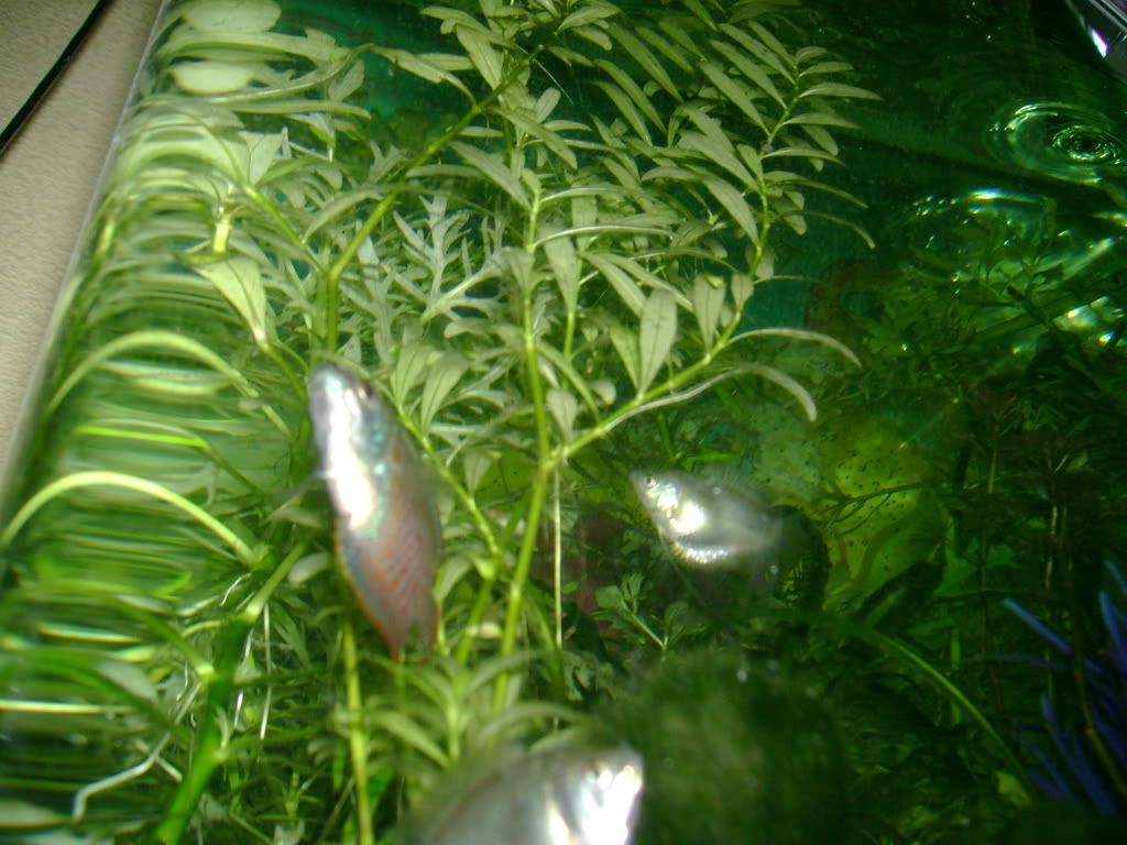 DSC00182.jpg