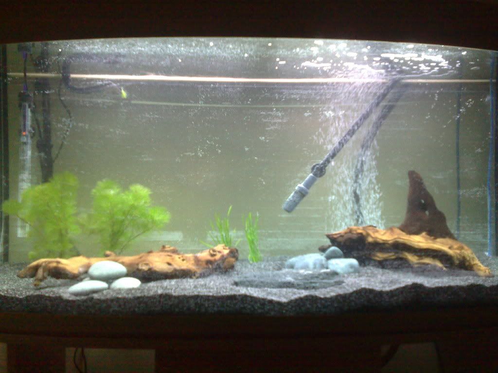 Tank15.jpg