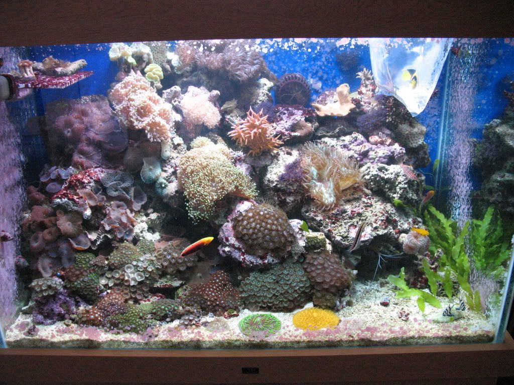 IMG_2044.jpg
