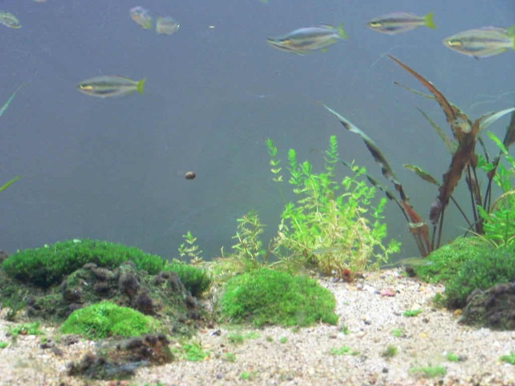 100_5363.jpg