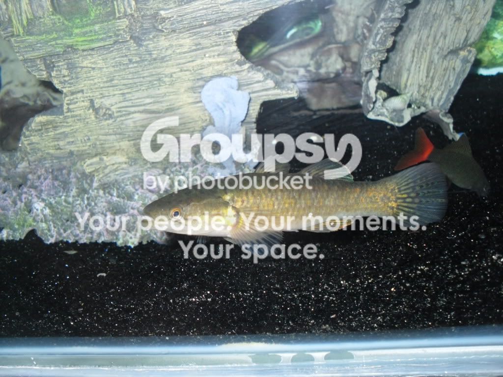 SDC12062.jpg