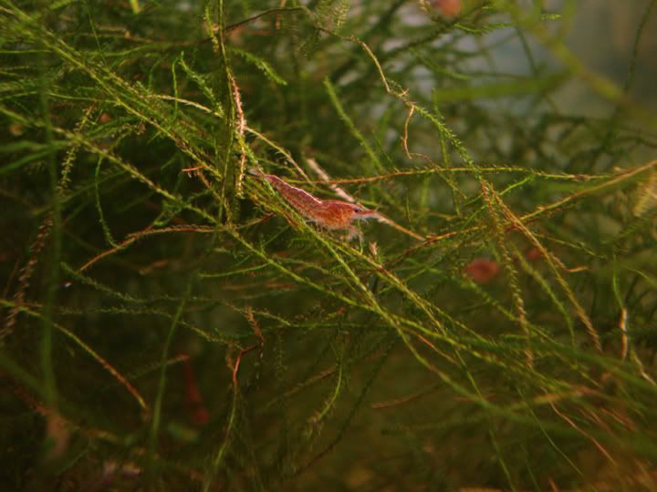 DSC03954.jpg