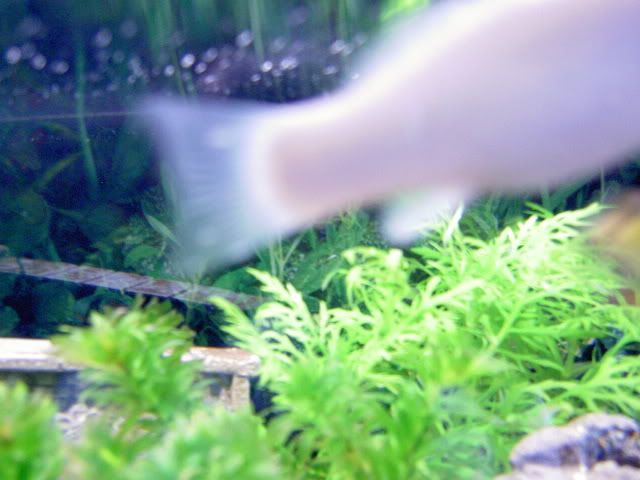 003-1.jpg