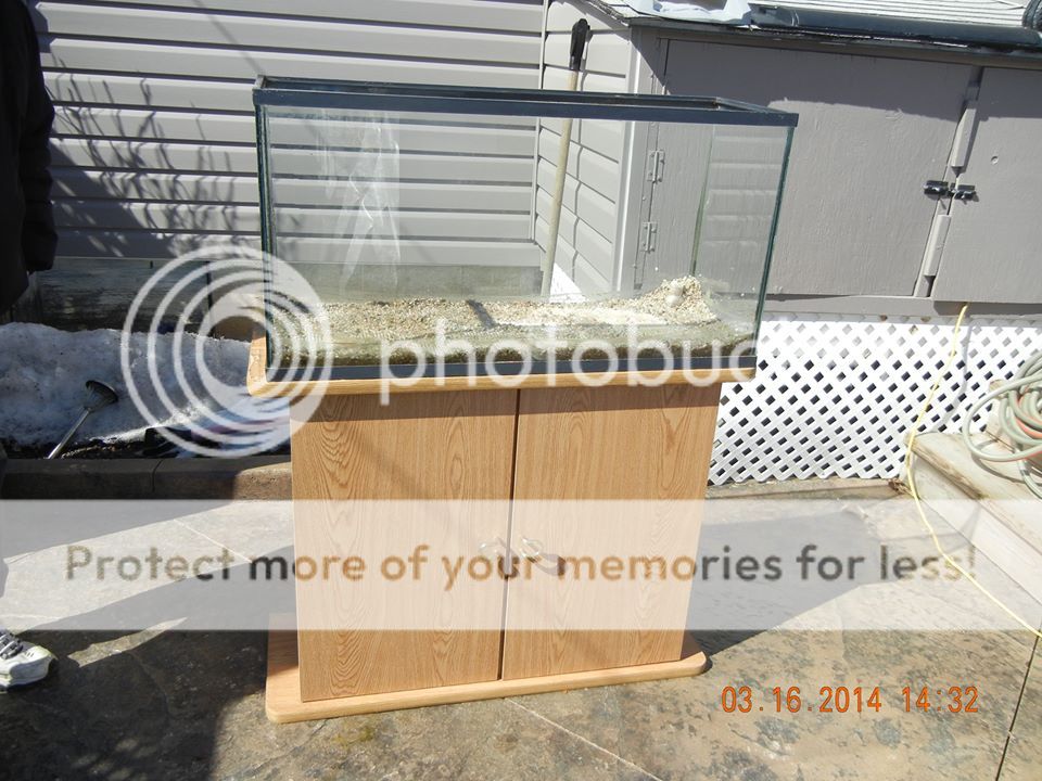 DSCN3336_zpsfb16a506.jpg