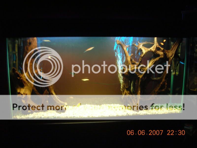 DSCN0566.jpg