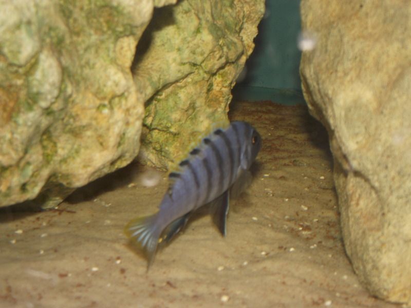 DSCF6478.jpg
