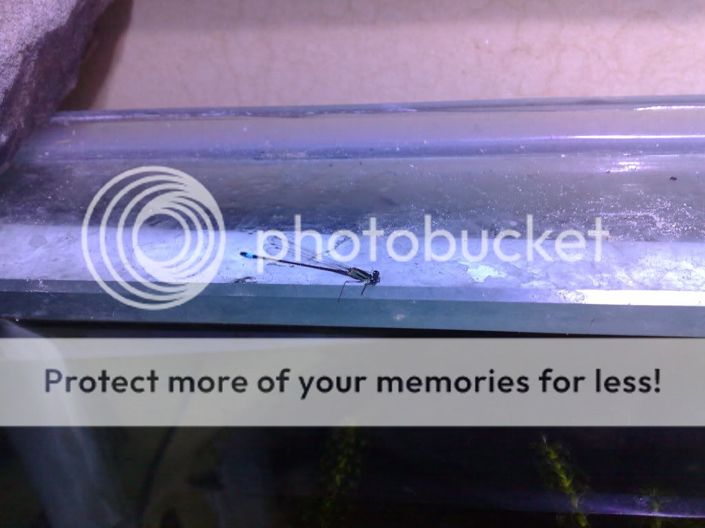 13082009805.jpg