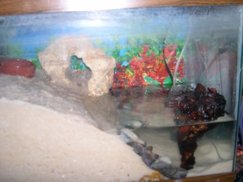 DSCN0461.jpg